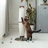 Reading your cat's scratch style -  here's what yours might be saying.