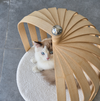 How to Choose the Right Cat Furniture for a Design-Led Home
