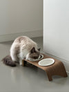 Is Your Cat Hydrated? Easy Ways to Boost Their Water Intake
